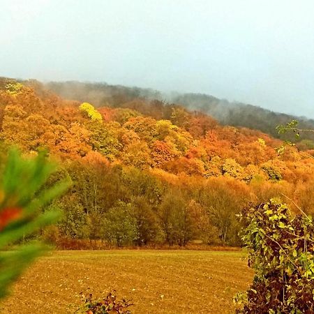 Somhegyi Oereg Harsfak Major Vendeghaz Bed & Breakfast Bakonybel Bagian luar foto