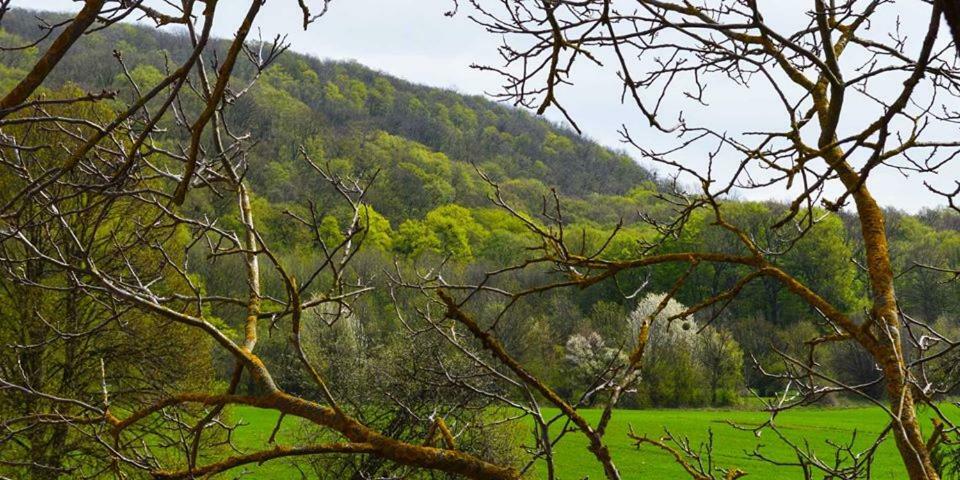 Somhegyi Oereg Harsfak Major Vendeghaz Bed & Breakfast Bakonybel Bagian luar foto