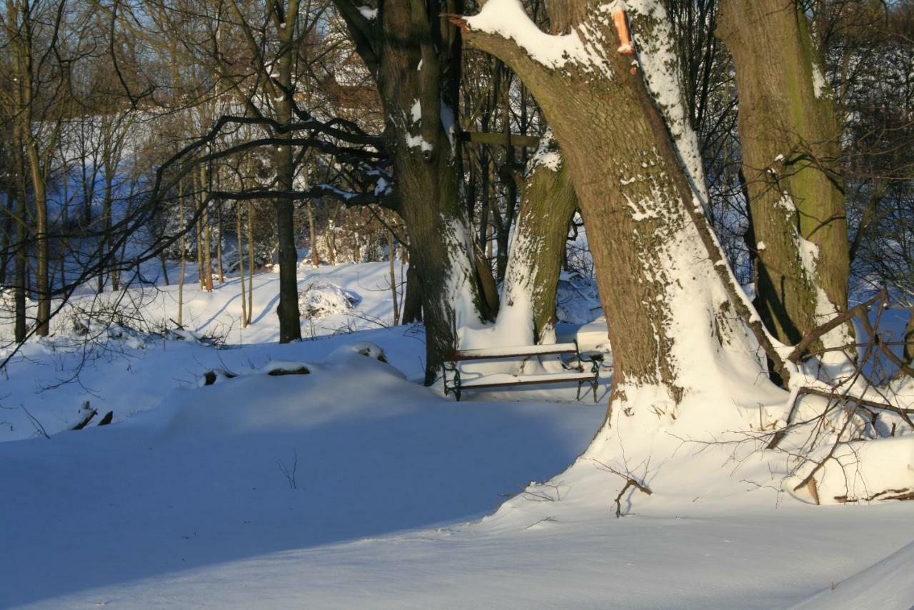 Somhegyi Oereg Harsfak Major Vendeghaz Bed & Breakfast Bakonybel Bagian luar foto